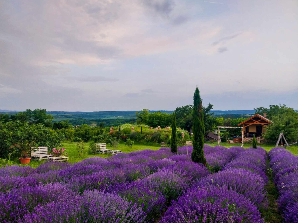 Mediterrn Birtok - Tevel