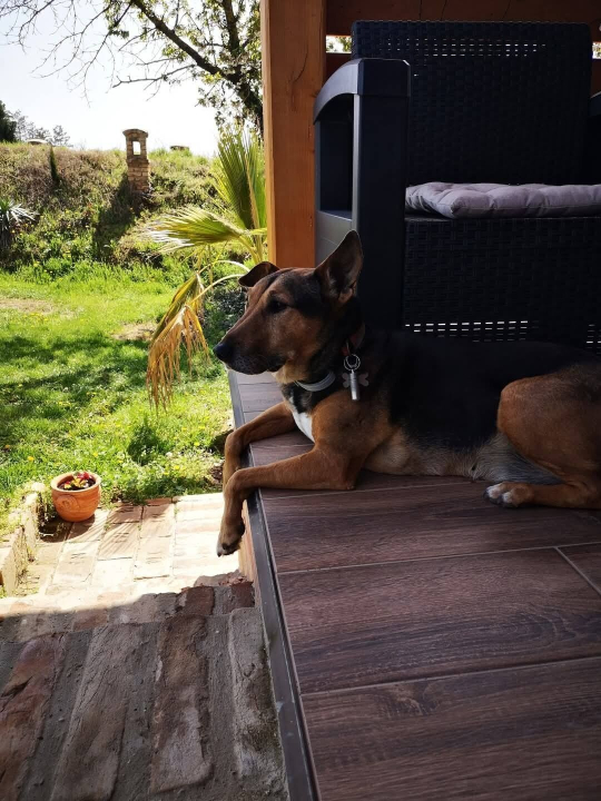 Mediterrn Birtok - Tevel