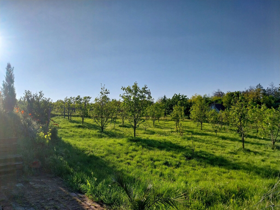 Mediterrn Birtok - Tevel