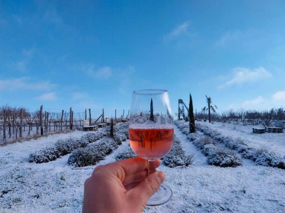 Mediterrn Birtok - Tevel