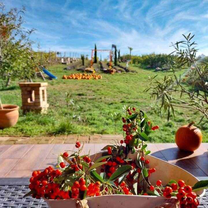 Mediterrn Birtok - Tevel