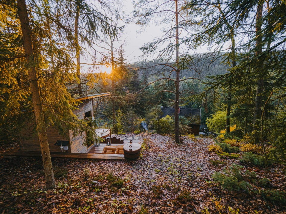 Moodhouse 2623 - Kismaros