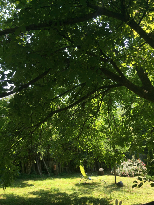 Művész Vendégház - Palkonya