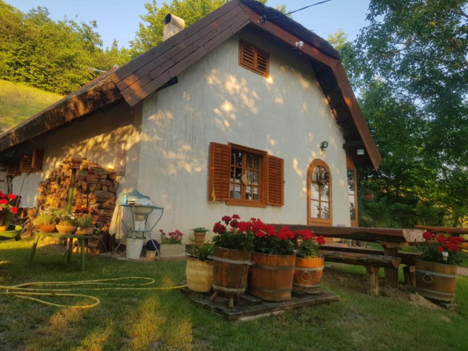 Ndas Pince - Szlsgyrk