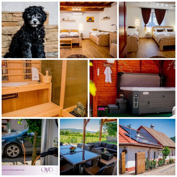 Orgona Vend�gh�z