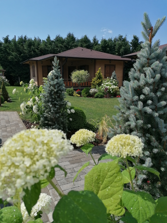 rvnyi Horgony Pihenpark - Tiszarvny