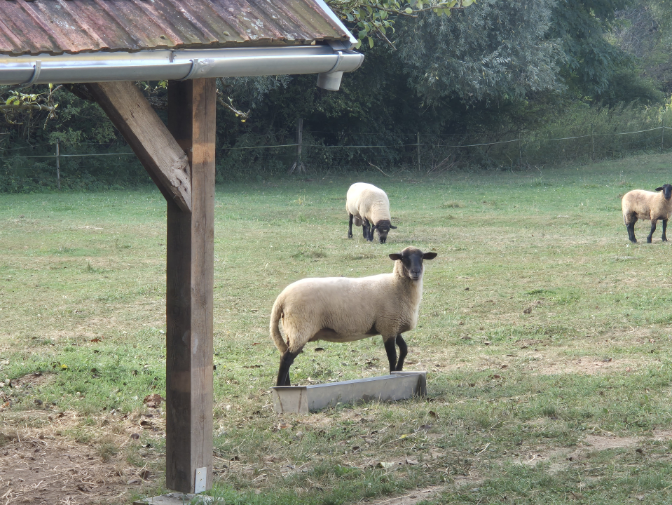 �tb�r�ny Vend�gh�z - Bezer�d