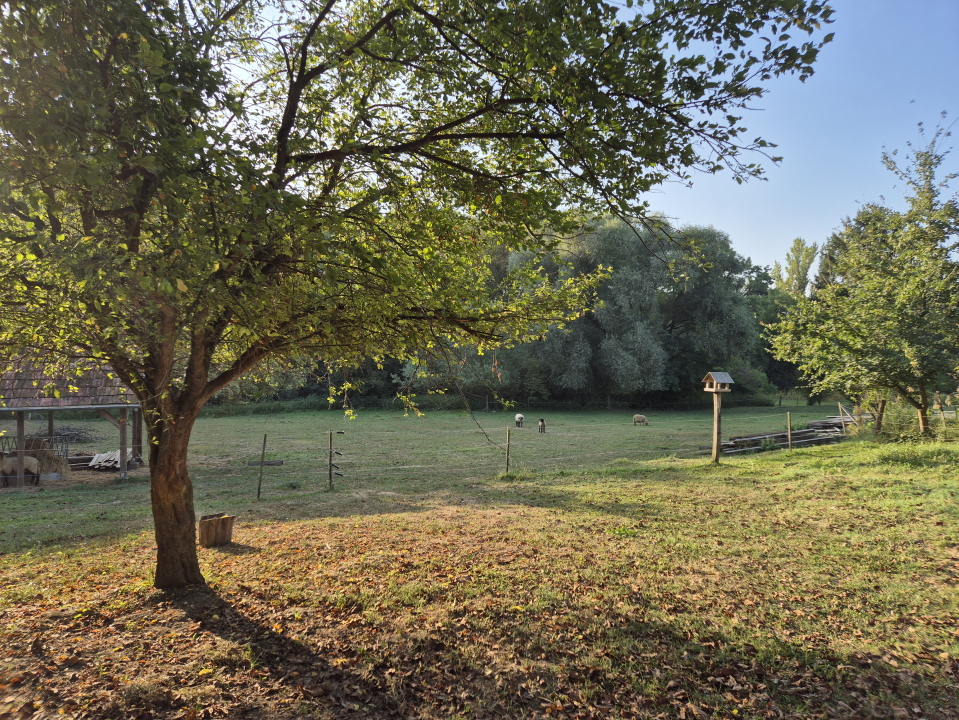 �tb�r�ny Vend�gh�z - Bezer�d