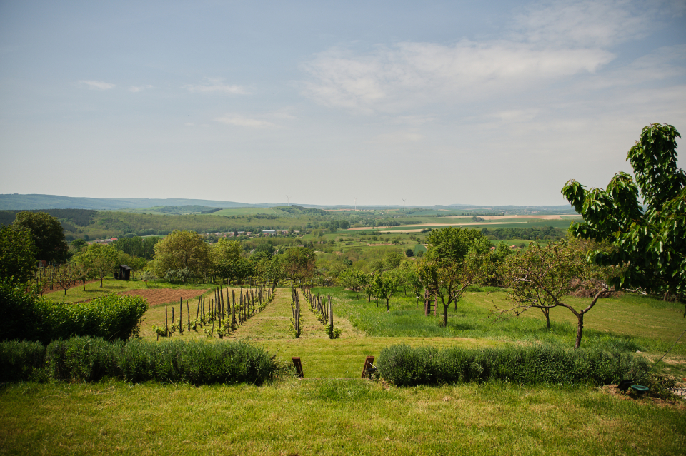 Pajkos Présház - Bakonycsernye