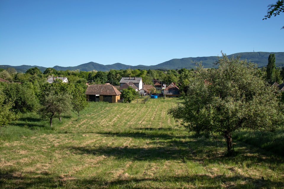 Panorma Vendghz Bodony - Bodony