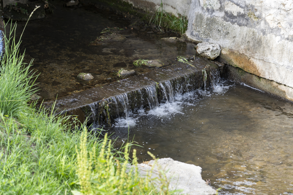 Patakparty Lak - Szilv�sv�rad