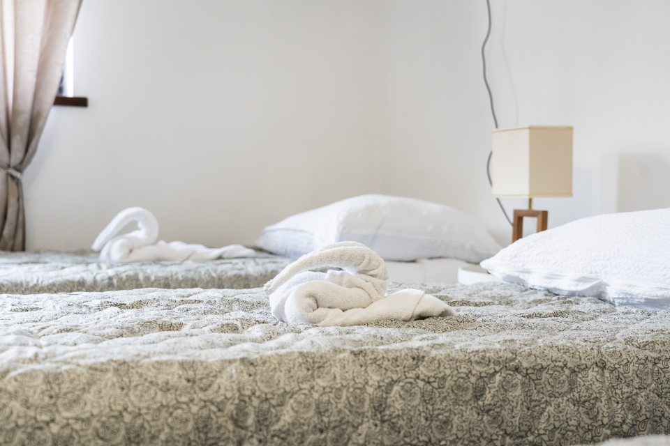 Patakparty Lak - Szilv�sv�rad