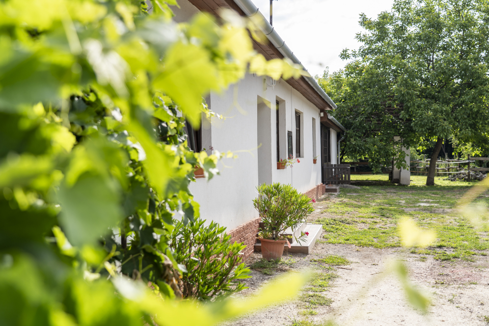 Patakparty Lak - Szilv�sv�rad