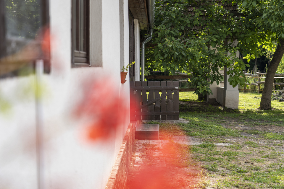 Patakparty Lak - Szilv�sv�rad