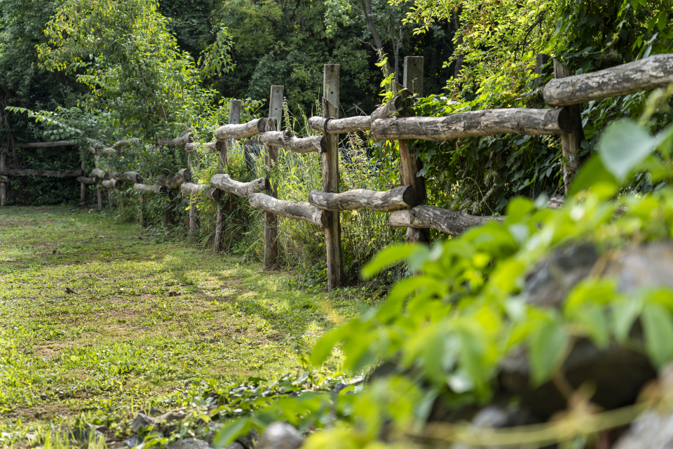 Patakparty Lak - Szilv�sv�rad