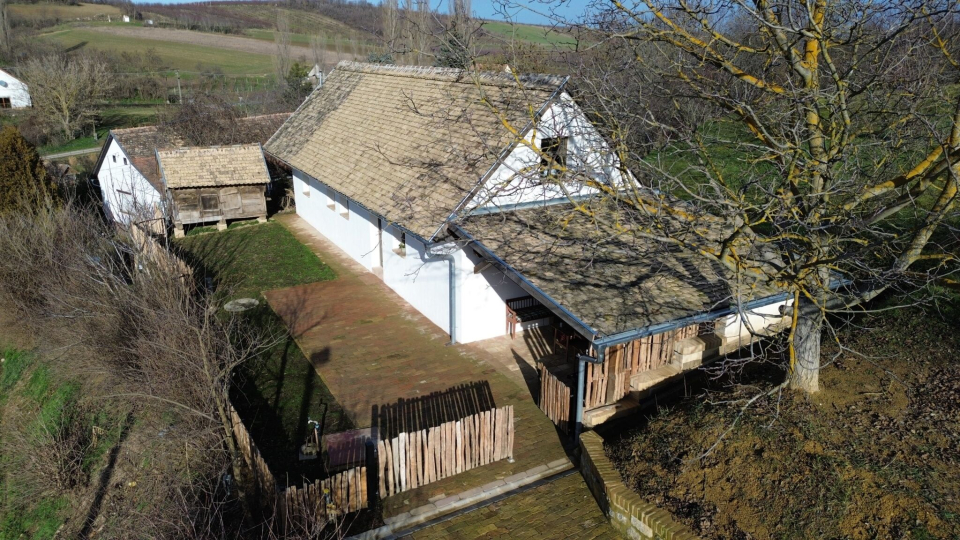 Rigli Vend�gh�z - Z�vod