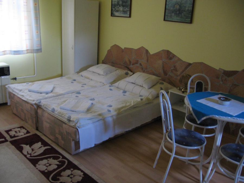 Rzsika Apartman - Hajdnns