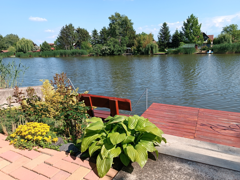 Sakura vend�gh�z - Csereszny...-B�k�sszentandr�s