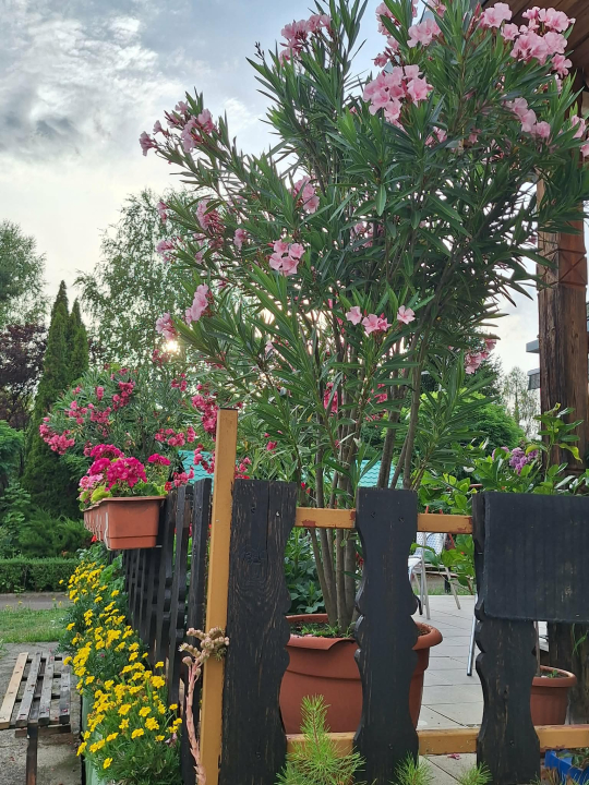 Salvus Family Pihen� Park - B�kksz�k