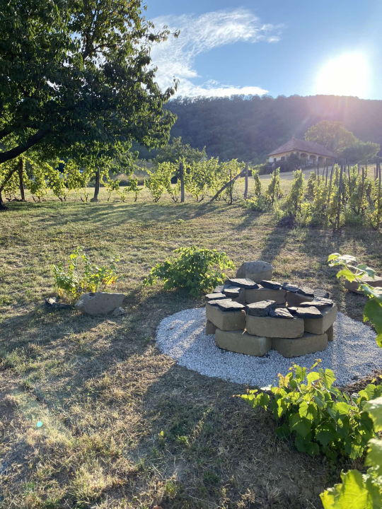 Somli Provence - Doba