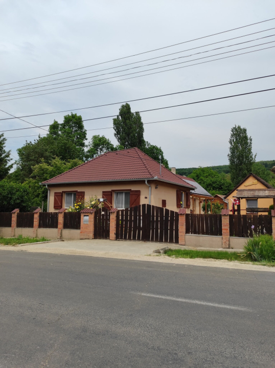 Szofi Vendghz - Kereki