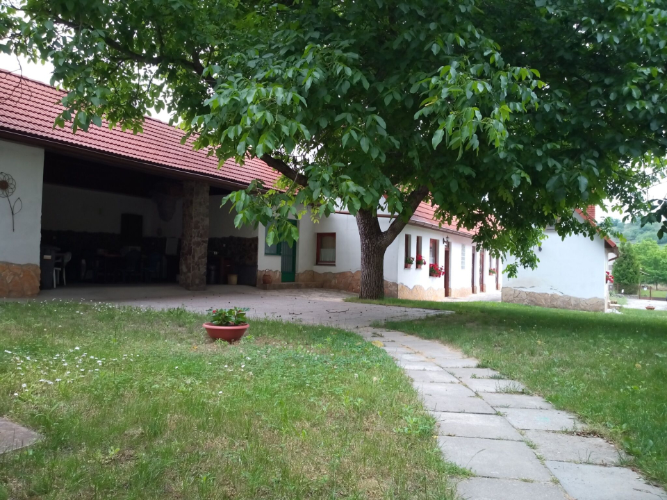 Teleki Panzi - Kisszkely