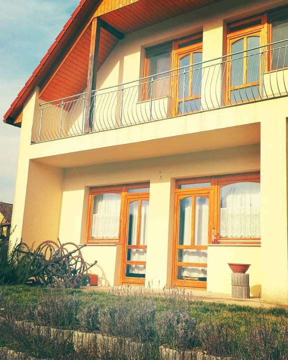 Teleki Panzi - Kisszkely