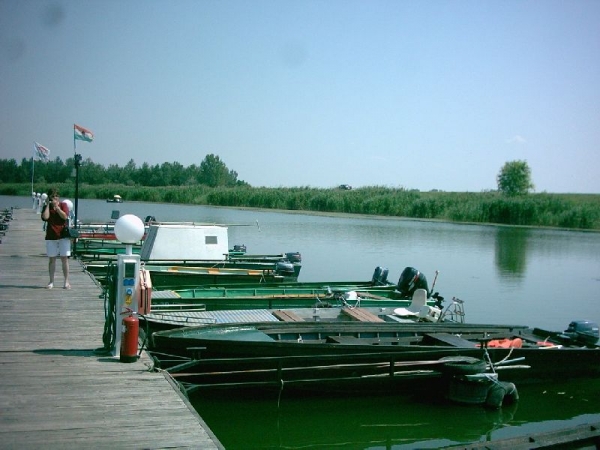 Tisza-t Vendghz - Sarud