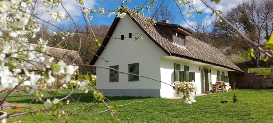 Vikli Vend�gh�z Z�vod