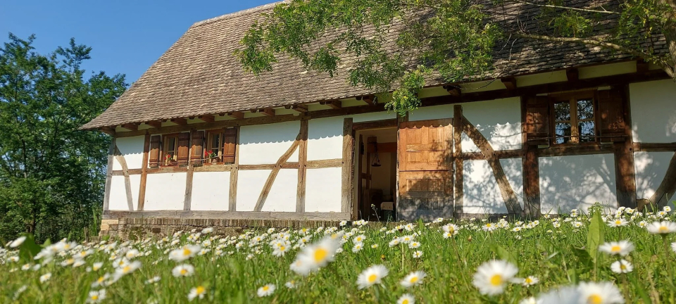 Vikli Vend�gh�z - Z�vod