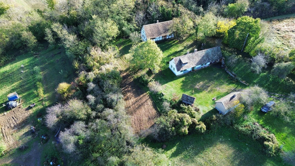 Vikli Vend�gh�z - Z�vod