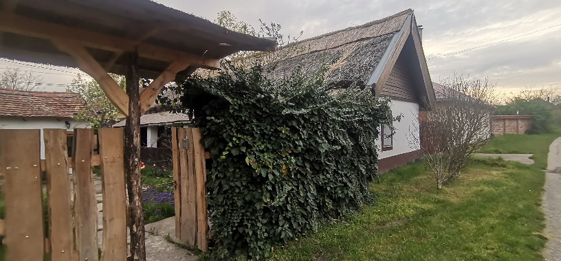 Villa Negra Tanya - Tiszakrt