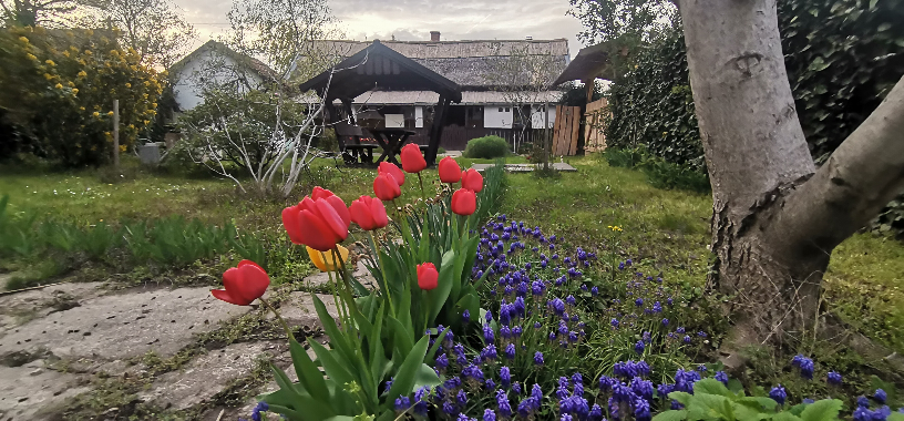 Villa Negra Tanya - Tiszakrt