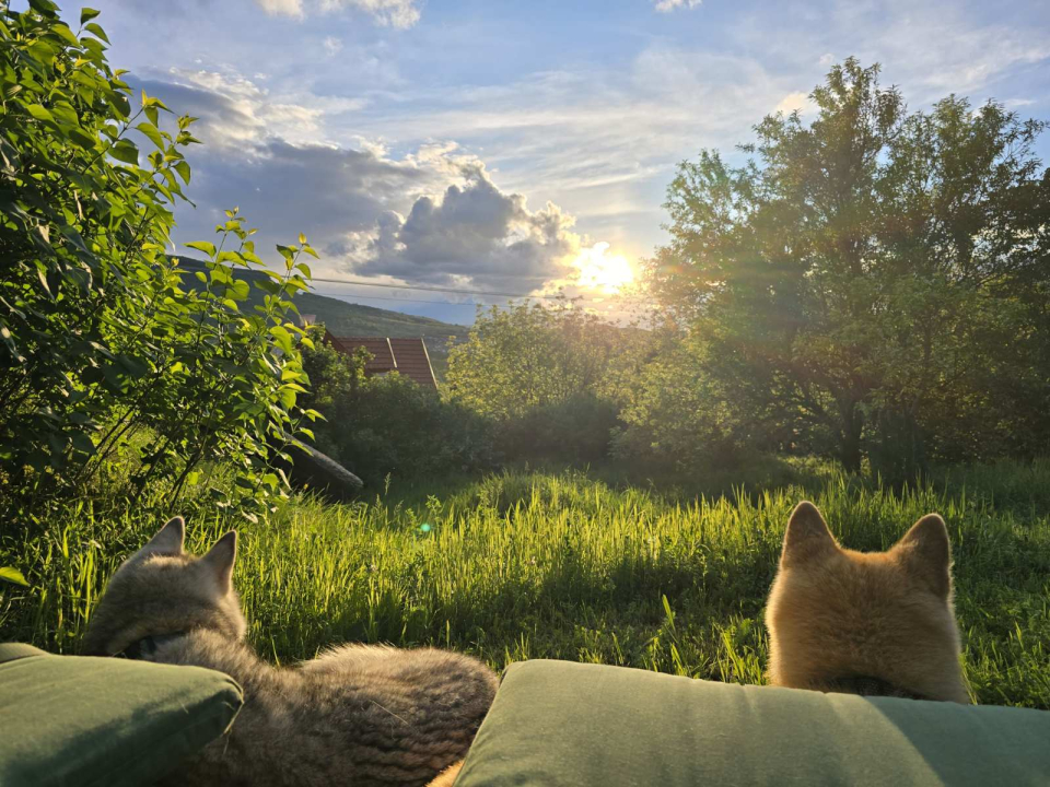 Wild Boar Cottage - Badacsonytomaj-Badacsonyrs