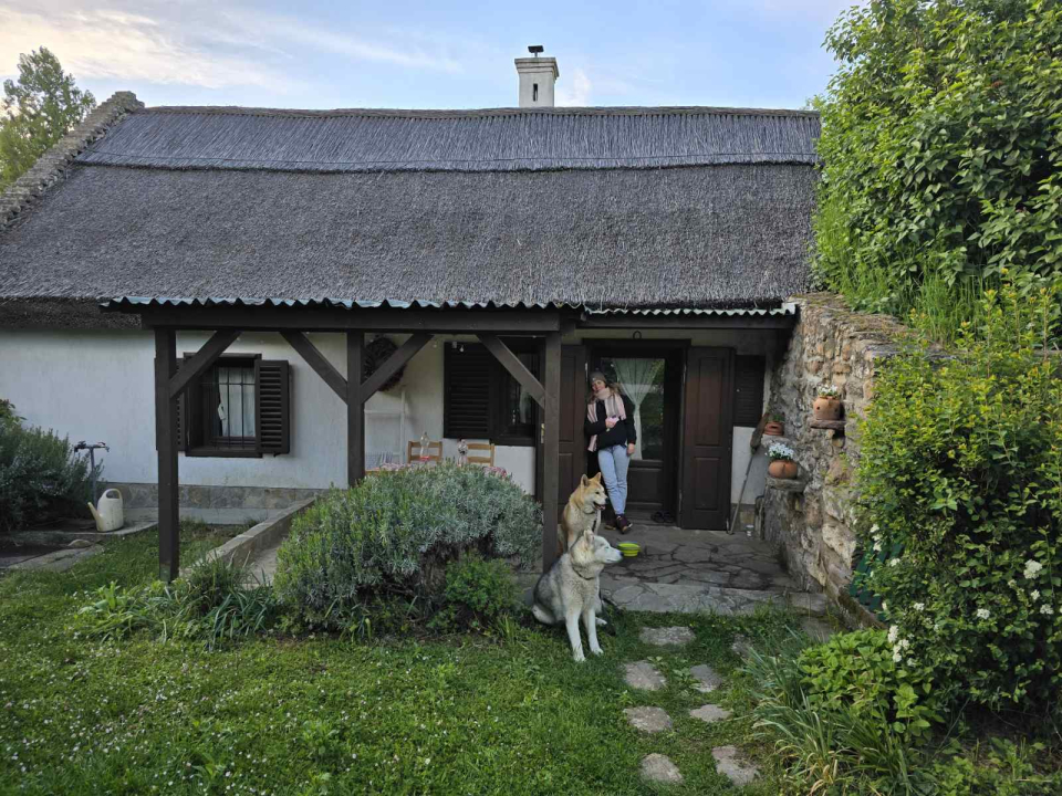 Wild Boar Cottage - Badacsonytomaj-Badacsonyrs