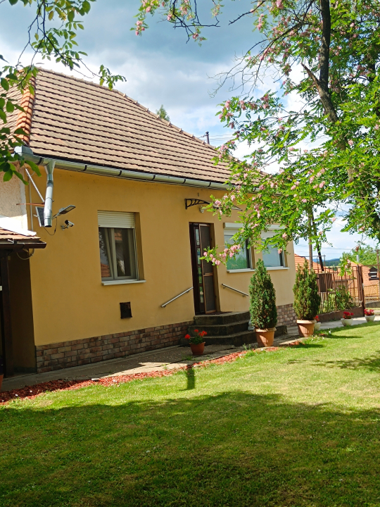 ZOLI VEND�GH�ZAI - M�traderecske