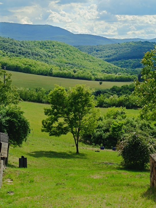 ZOLI VEND�GH�ZAI - M�traderecske