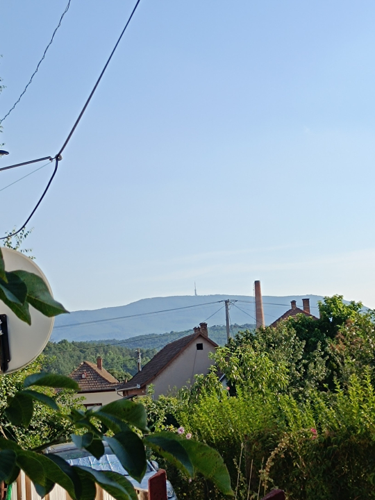 ZOLI VEND�GH�ZAI - M�traderecske