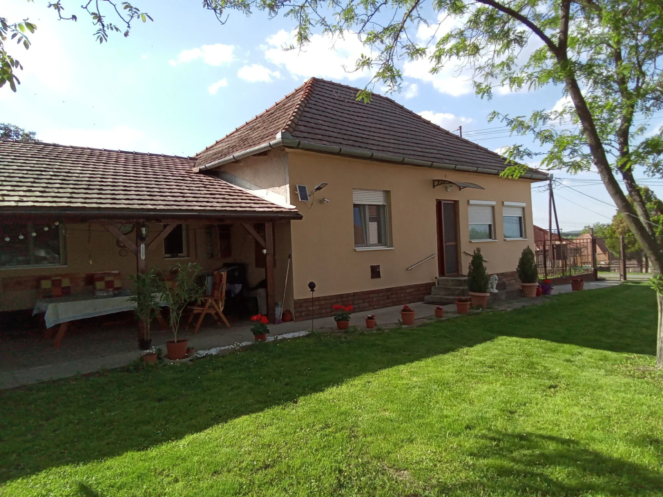 ZOLI VEND�GH�ZAI - M�traderecske